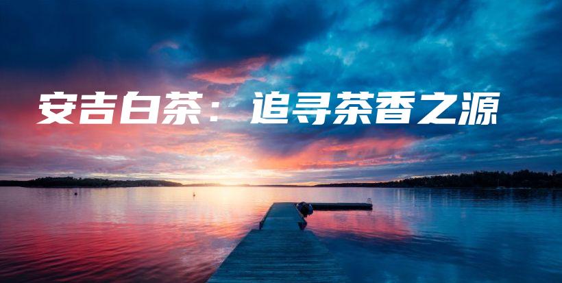 安吉白茶：追尋茶香之源插圖