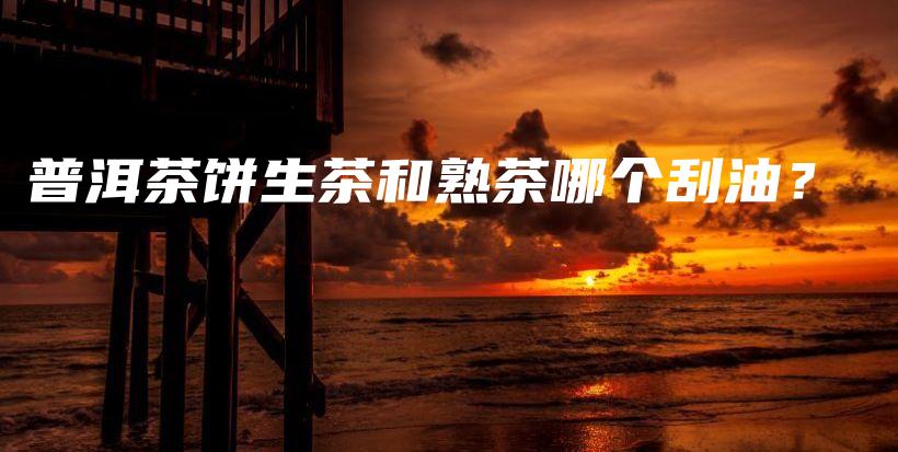 普洱茶餅生茶和熟茶哪個(gè)刮油？插圖