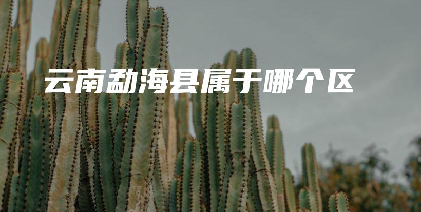 云南勐?？h屬于哪個(gè)區(qū)插圖