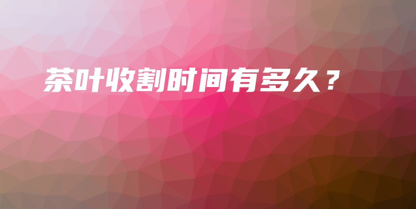 茶葉收割時間有多久？插圖