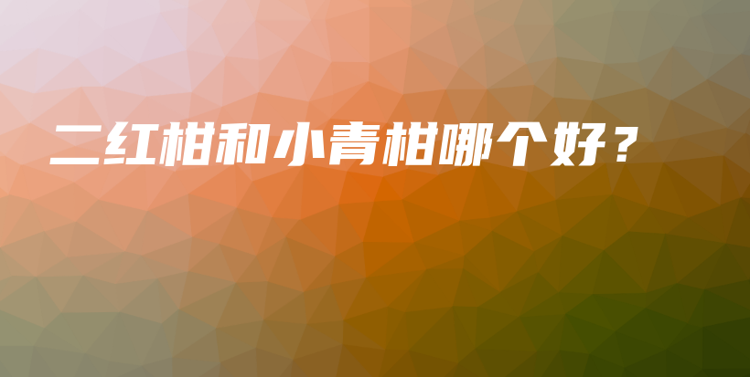 二紅柑和小青柑哪個(gè)好？插圖