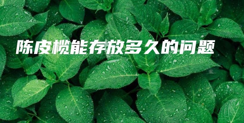 陳皮欖能存放多久的問題插圖