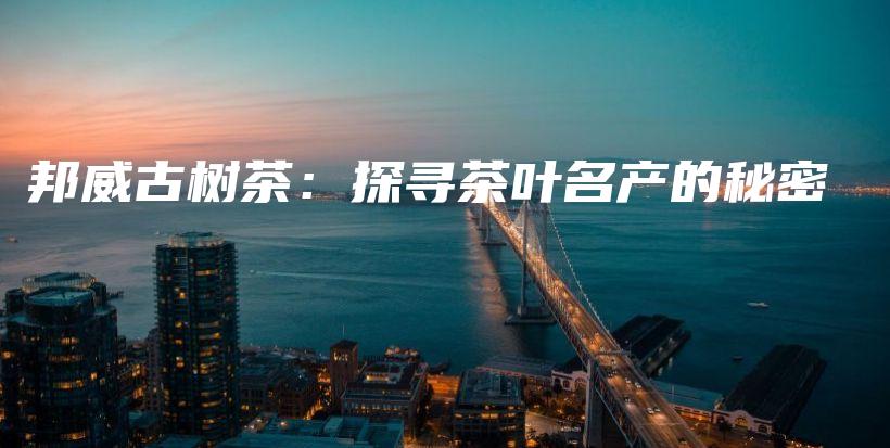 邦威古樹茶：探尋茶葉名產(chǎn)的秘密插圖