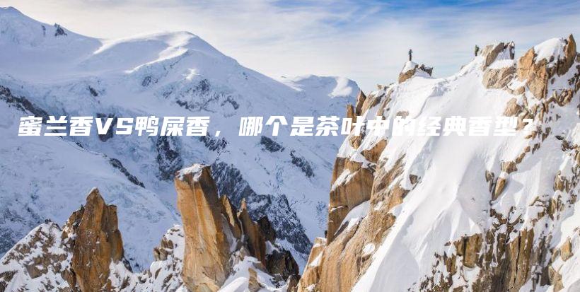 蜜蘭香VS鴨屎香，哪個(gè)是茶葉中的經(jīng)典香型？插圖
