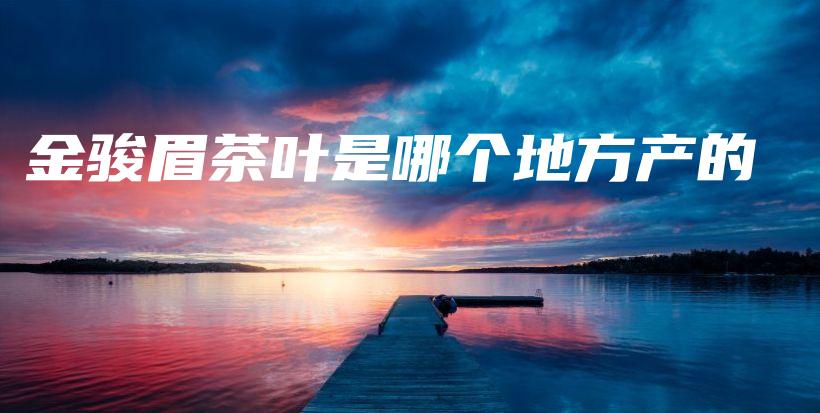 金駿眉茶葉是哪個(gè)地方產(chǎn)的插圖