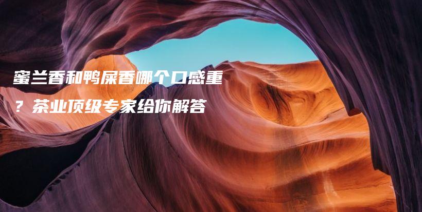 蜜蘭香和鴨屎香哪個(gè)口感重？茶業(yè)頂級專家給你解答插圖