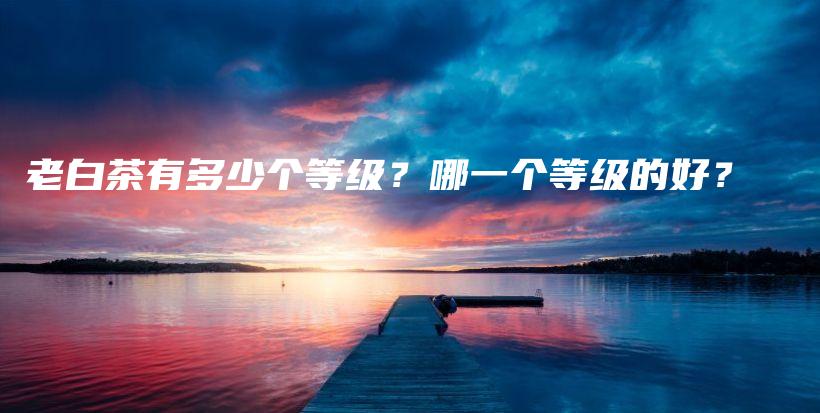 老白茶有多少個(gè)等級(jí)？哪一個(gè)等級(jí)的好？插圖