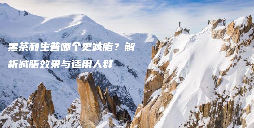 黑茶和生普哪個(gè)更減脂？解析減脂效果與適用人群插圖