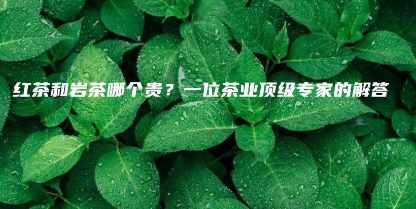 紅茶和巖茶哪個貴？一位茶業(yè)頂級專家的解答插圖