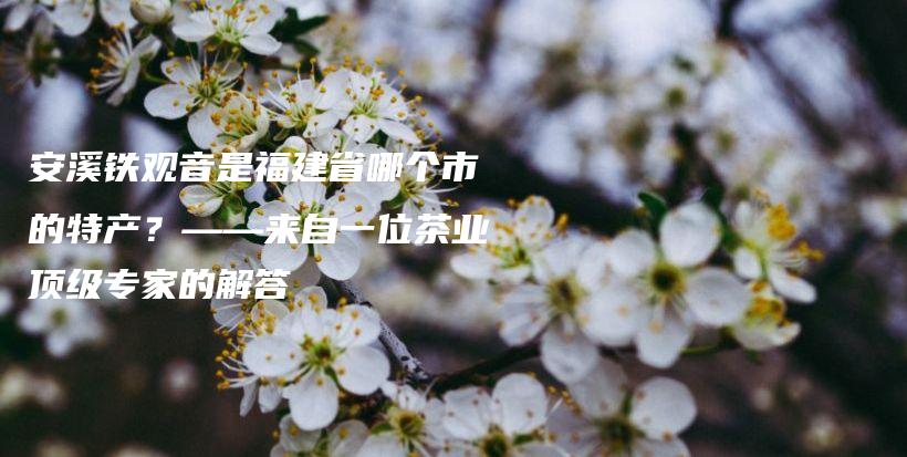 安溪鐵觀音是福建省哪個(gè)市的特產(chǎn)？——來(lái)自一位茶業(yè)頂級(jí)專家的解答插圖