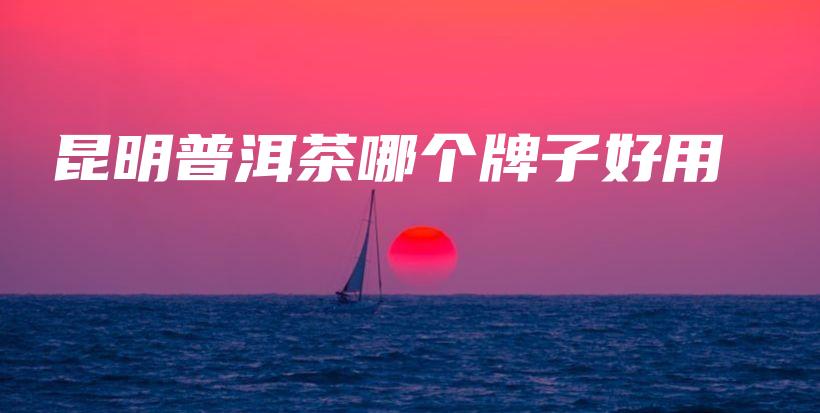 昆明普洱茶哪個牌子好用插圖