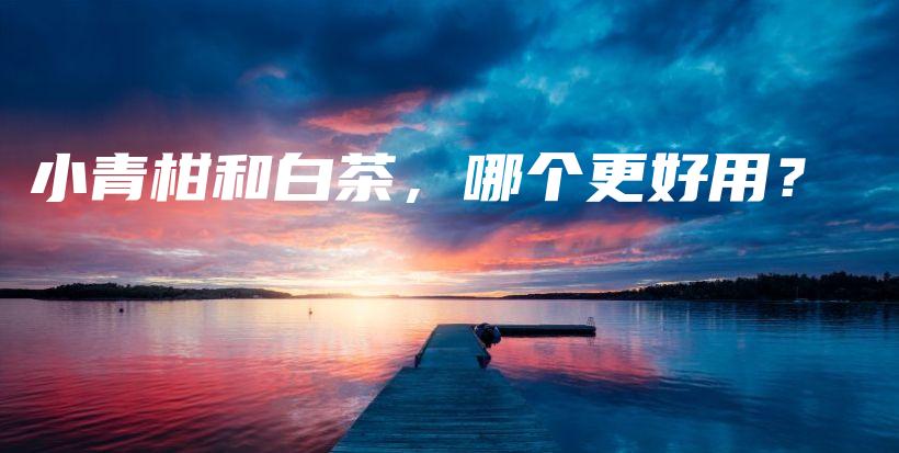 小青柑和白茶，哪個(gè)更好用？插圖