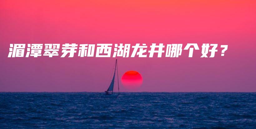 湄潭翠芽和西湖龍井哪個(gè)好？插圖