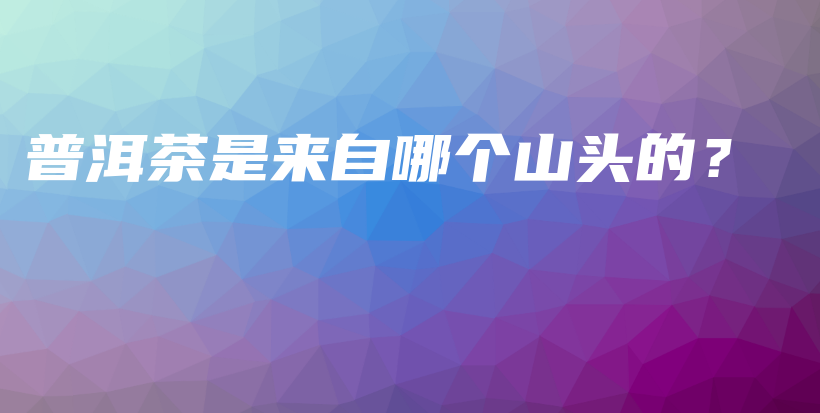 普洱茶是來自哪個山頭的？插圖