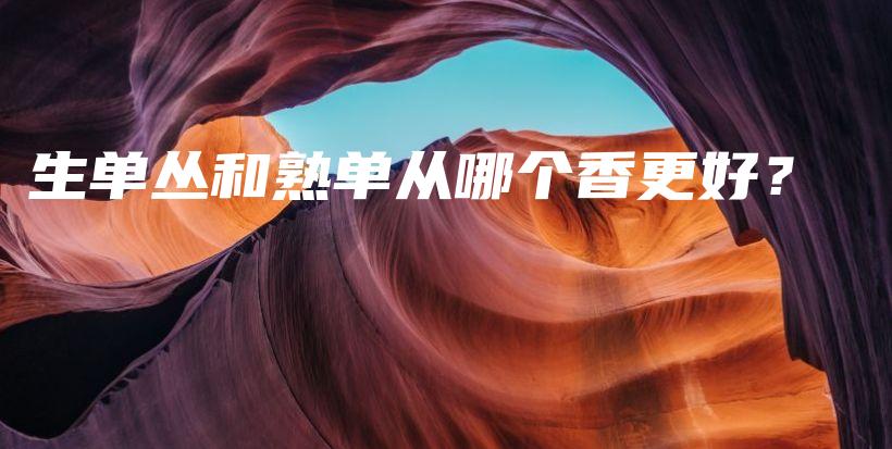 生單叢和熟單從哪個(gè)香更好？插圖