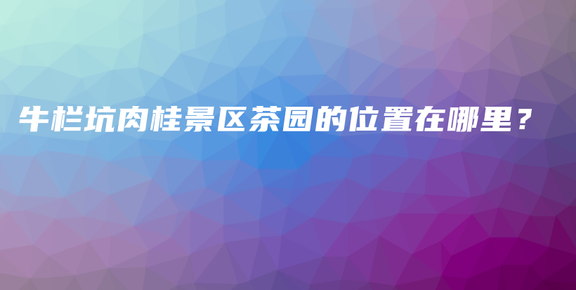 牛欄坑肉桂景區(qū)茶園的位置在哪里？插圖