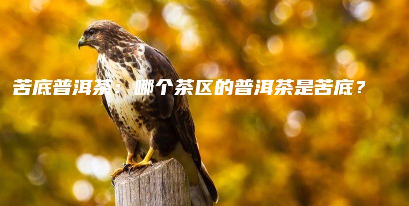 苦底普洱茶：哪個茶區(qū)的普洱茶是苦底？插圖