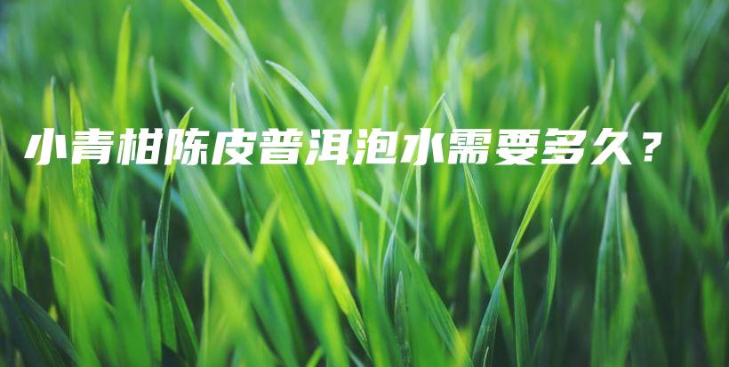 小青柑陳皮普洱泡水需要多久？插圖