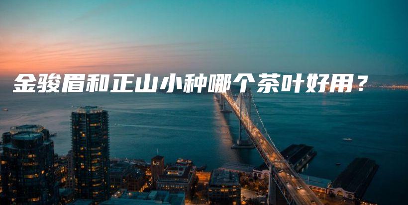 金駿眉和正山小種哪個茶葉好用？插圖