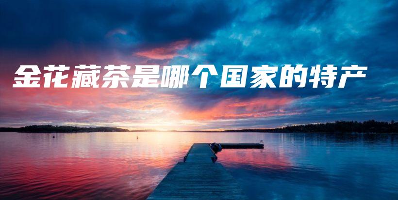 金花藏茶是哪個(gè)國(guó)家的特產(chǎn)插圖