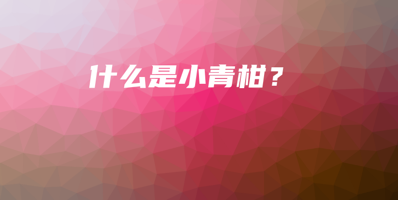 什么是小青柑？插圖