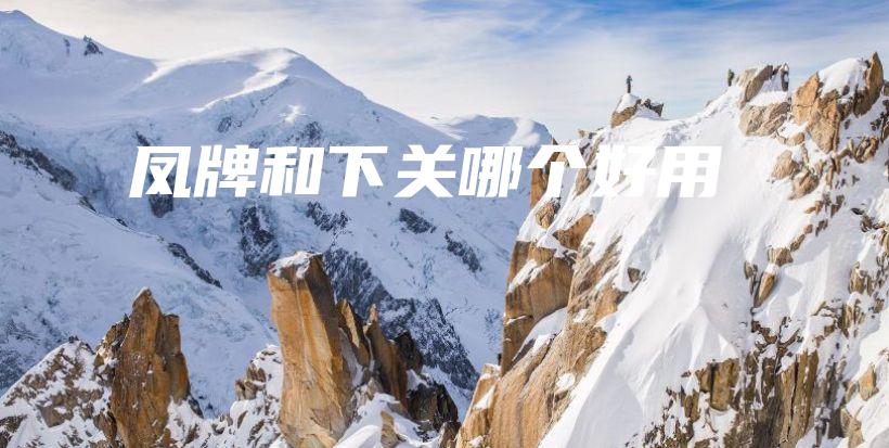鳳牌和下關(guān)哪個(gè)好用插圖