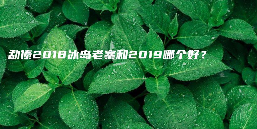 勐傣2018冰島老寨和2019哪個好？插圖