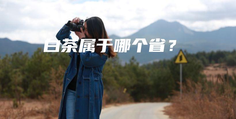 白茶屬于哪個??？插圖