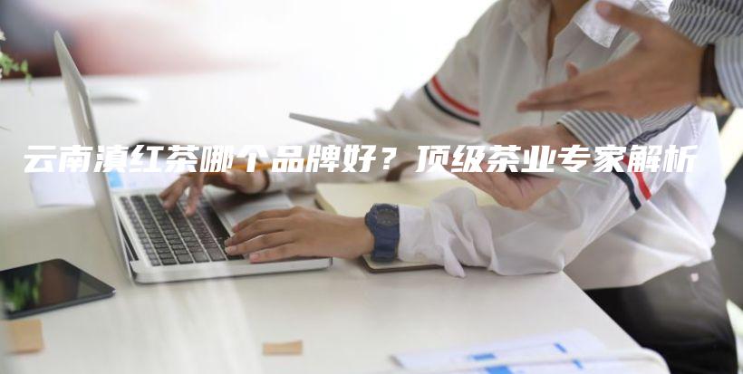 云南滇紅茶哪個品牌好？頂級茶業(yè)專家解析插圖