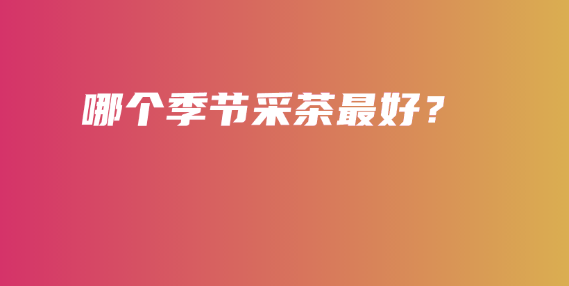哪個季節(jié)采茶最好？插圖