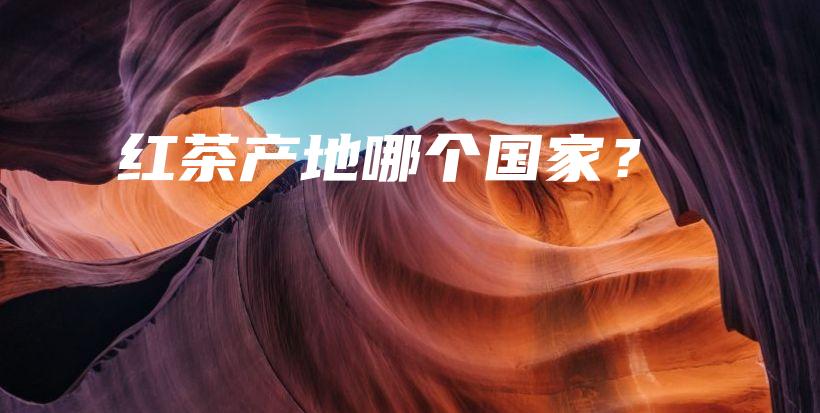 紅茶產(chǎn)地哪個(gè)國家？插圖