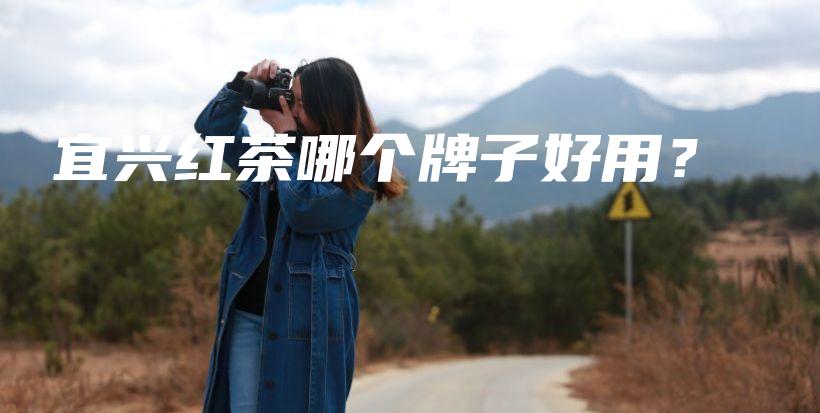 宜興紅茶哪個(gè)牌子好用？插圖