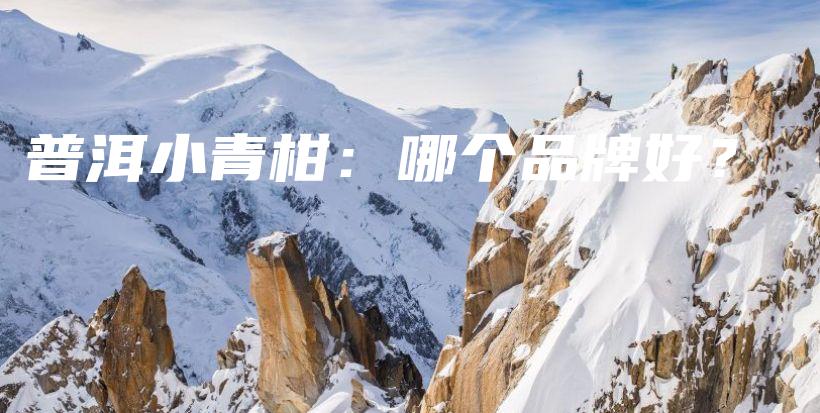 普洱小青柑：哪個品牌好？插圖