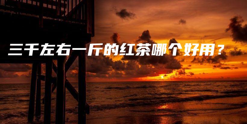 三千左右一斤的紅茶哪個好用？插圖
