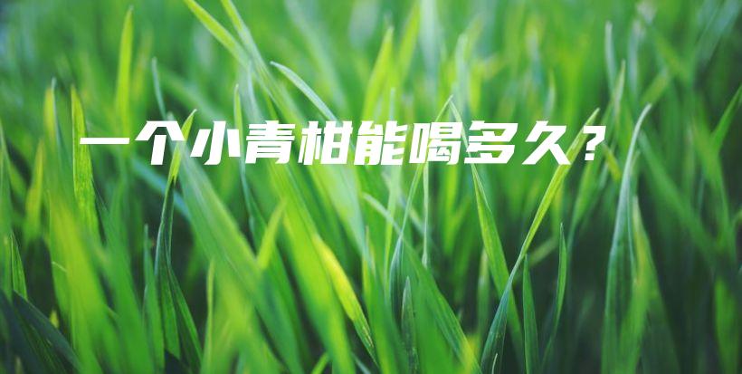 一個(gè)小青柑能喝多久？插圖