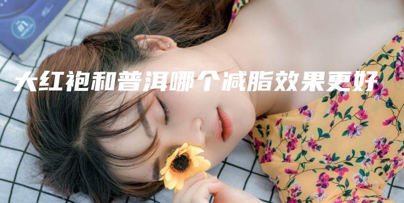 大紅袍和普洱哪個減脂效果更好插圖