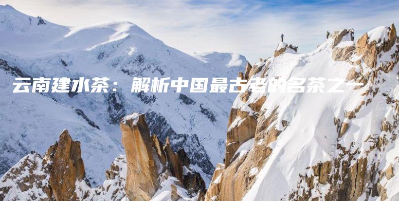 云南建水茶：解析中國(guó)最古老的名茶之一插圖