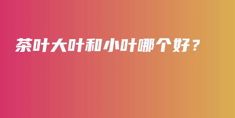 茶葉大葉和小葉哪個(gè)好？插圖