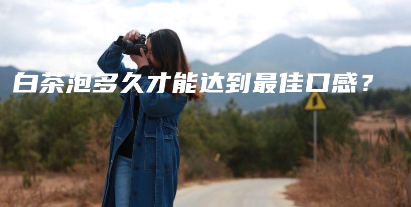 白茶泡多久才能達(dá)到最佳口感？插圖
