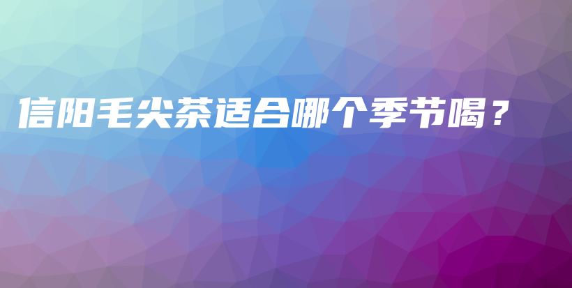 信陽毛尖茶適合哪個季節(jié)喝？插圖