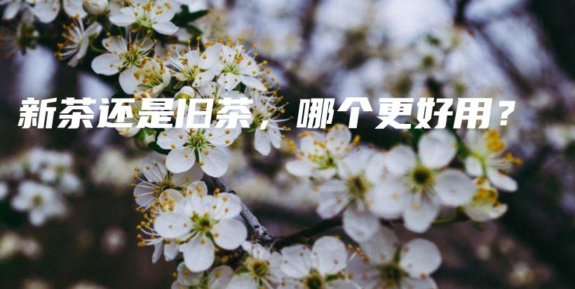新茶還是舊茶，哪個(gè)更好用？插圖
