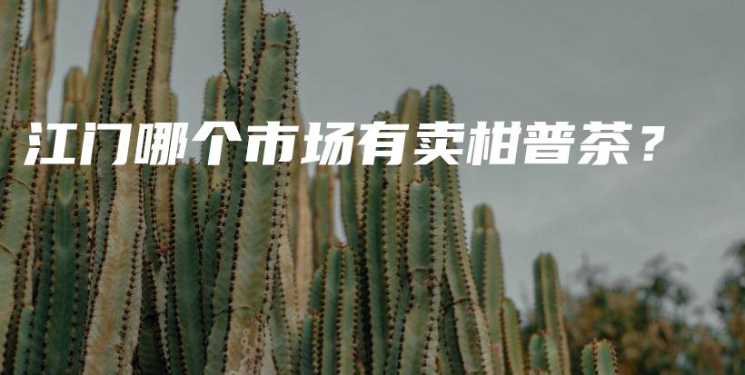 江門哪個市場有賣柑普茶？插圖