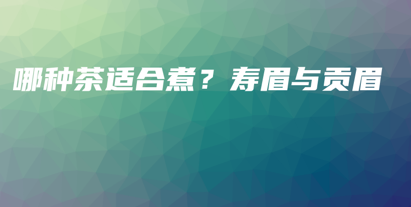 哪種茶適合煮？壽眉與貢眉插圖