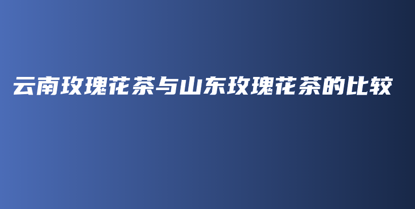 云南玫瑰花茶與山東玫瑰花茶的比較插圖
