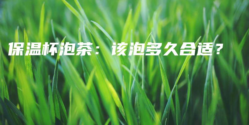 保溫杯泡茶：該泡多久合適？插圖