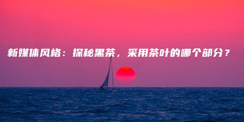 新媒體風(fēng)格：探秘黑茶，采用茶葉的哪個部分？插圖
