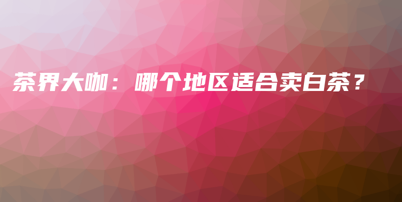 茶界大咖：哪個(gè)地區(qū)適合賣白茶？插圖