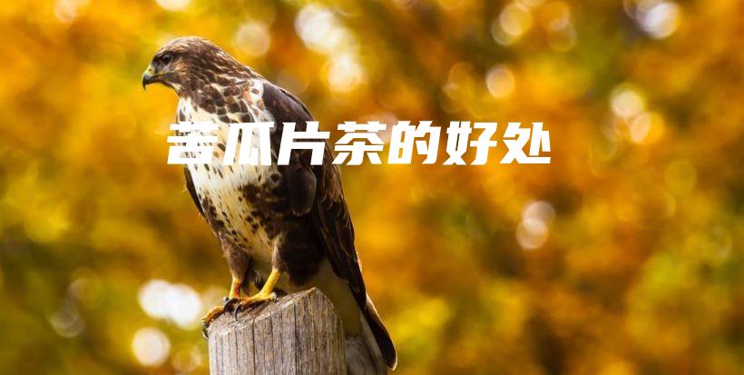 苦瓜片茶的好處插圖