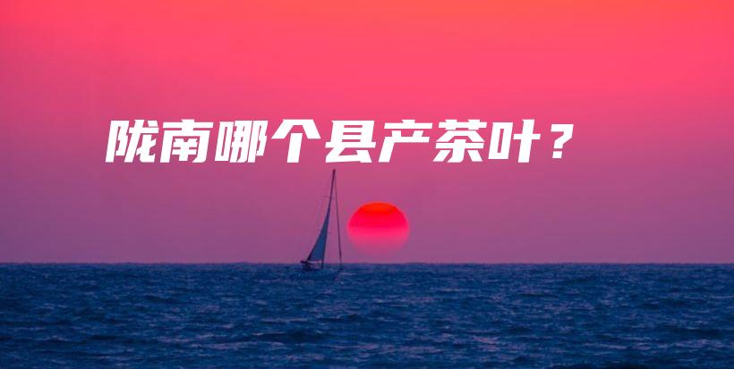 隴南哪個縣產(chǎn)茶葉？插圖