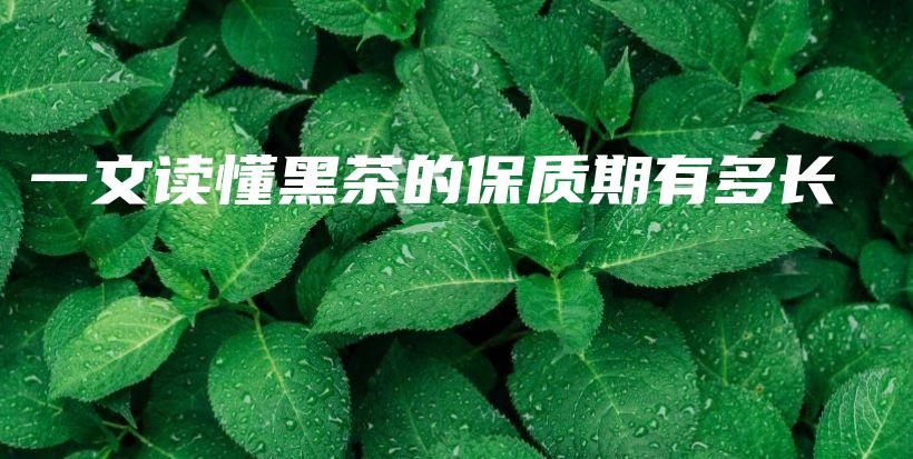 一文讀懂黑茶的保質(zhì)期有多長(zhǎng)插圖
